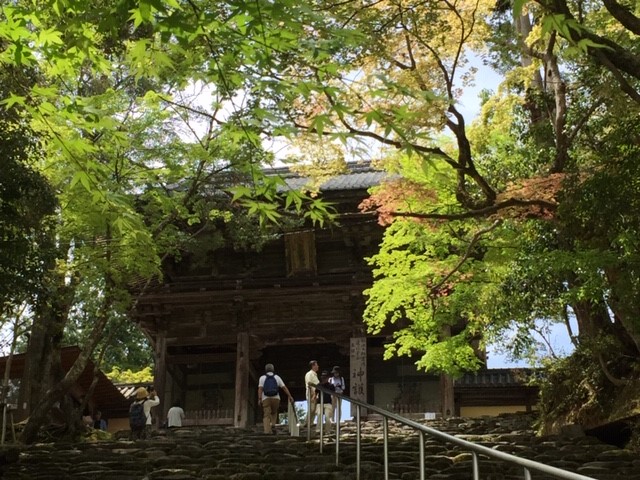 201905神護寺