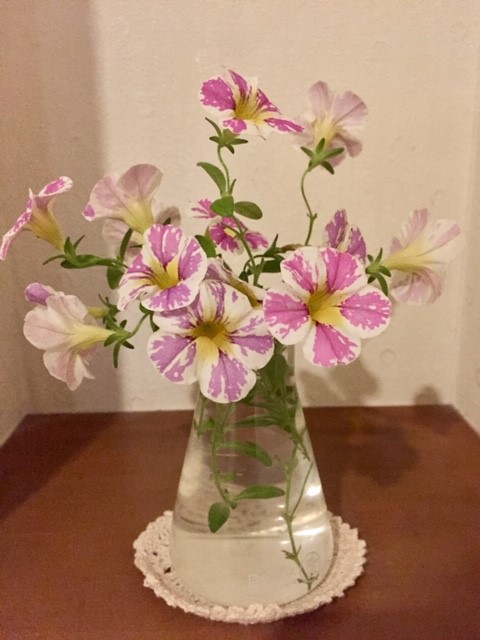 2019年6月9日花2