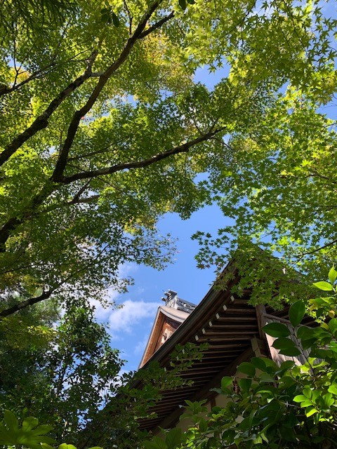 2019年9月19日光悦寺