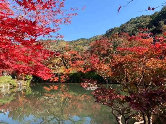 2020年11月18日永観堂４