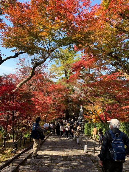 2020年11月18日永観堂１